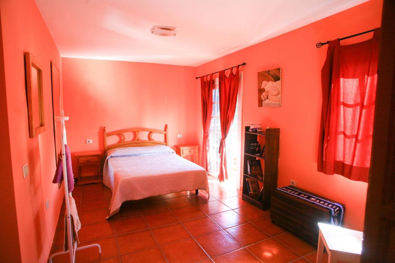 La Maison Du Surfeur Costa Adeje  Dış mekan fotoğraf