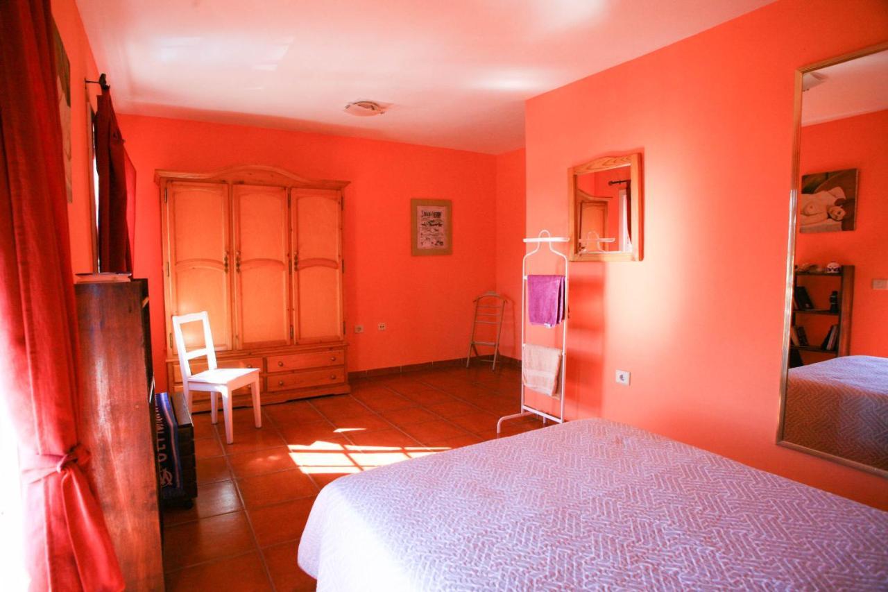 La Maison Du Surfeur Costa Adeje  Dış mekan fotoğraf